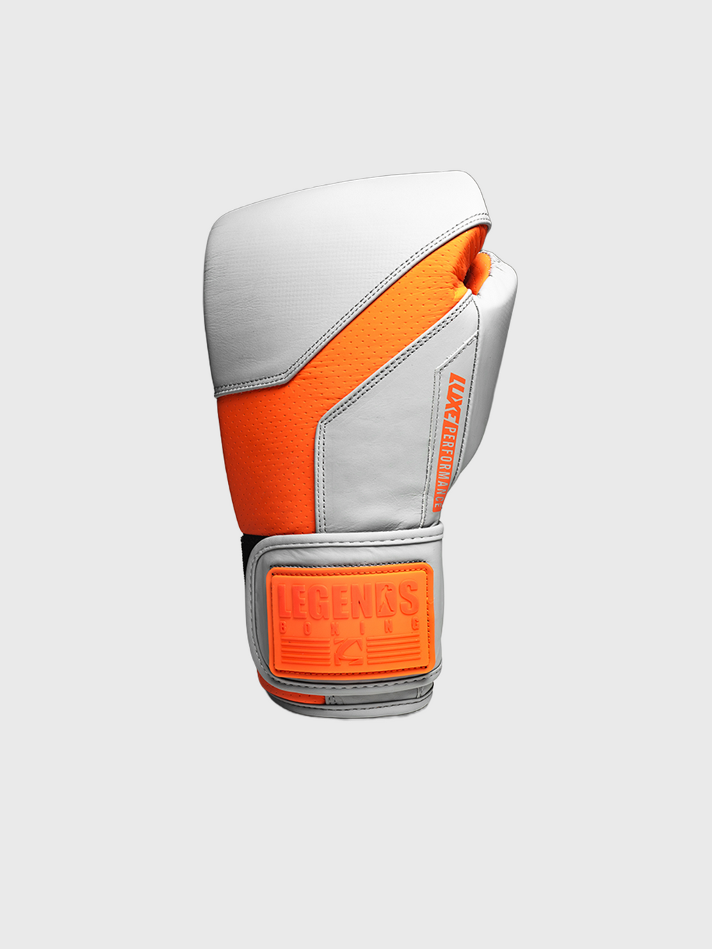 LTE Luxe Boxing Gloves