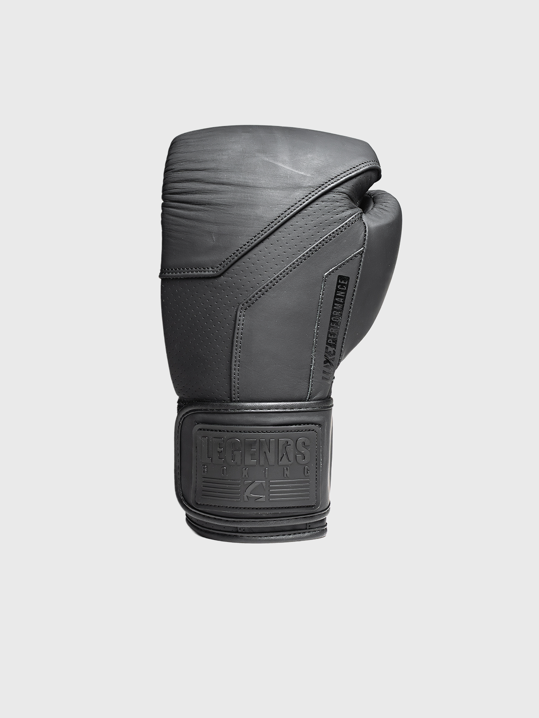 LTE Luxe Boxing Gloves