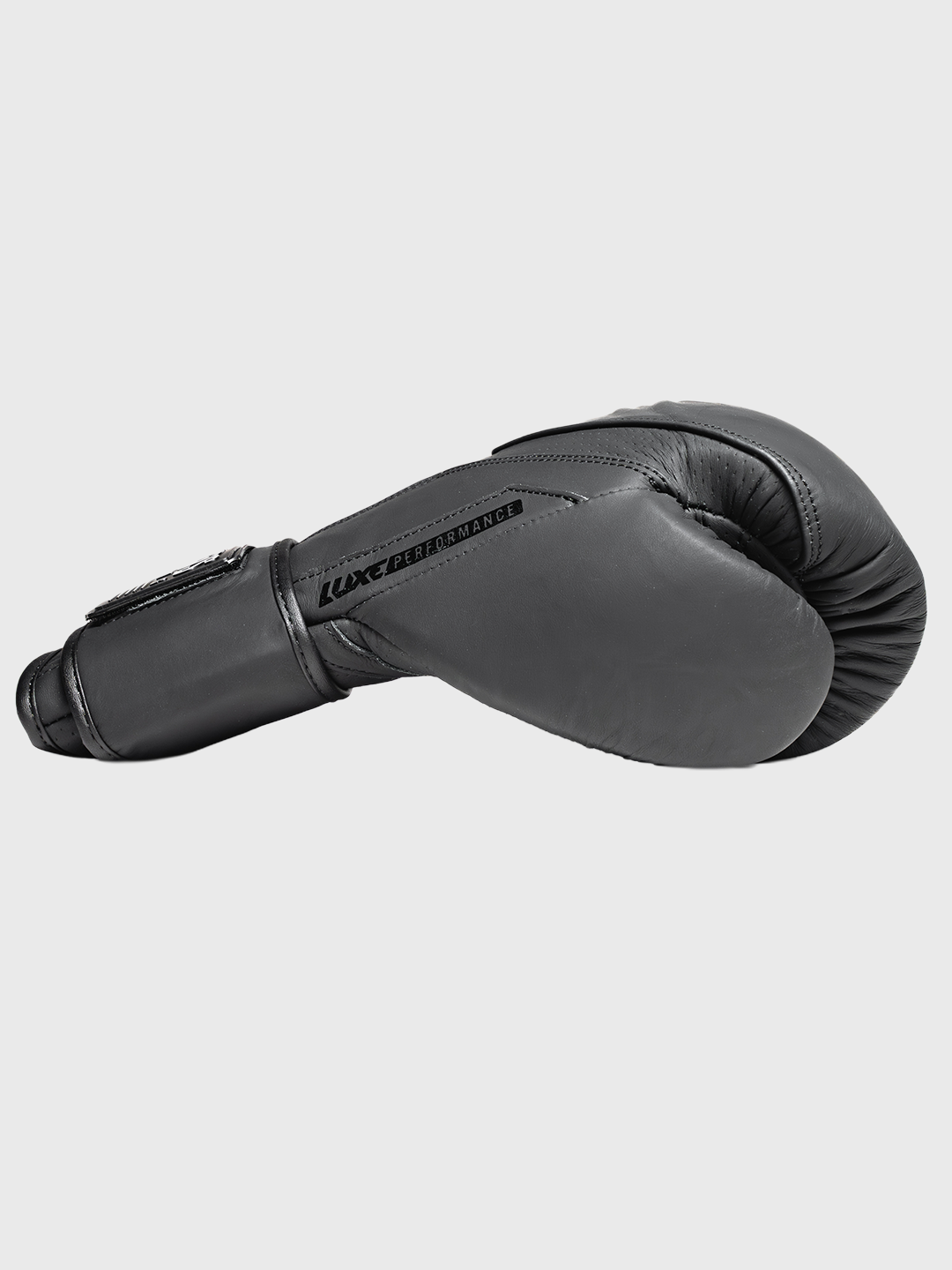 LTE Luxe Boxing Gloves