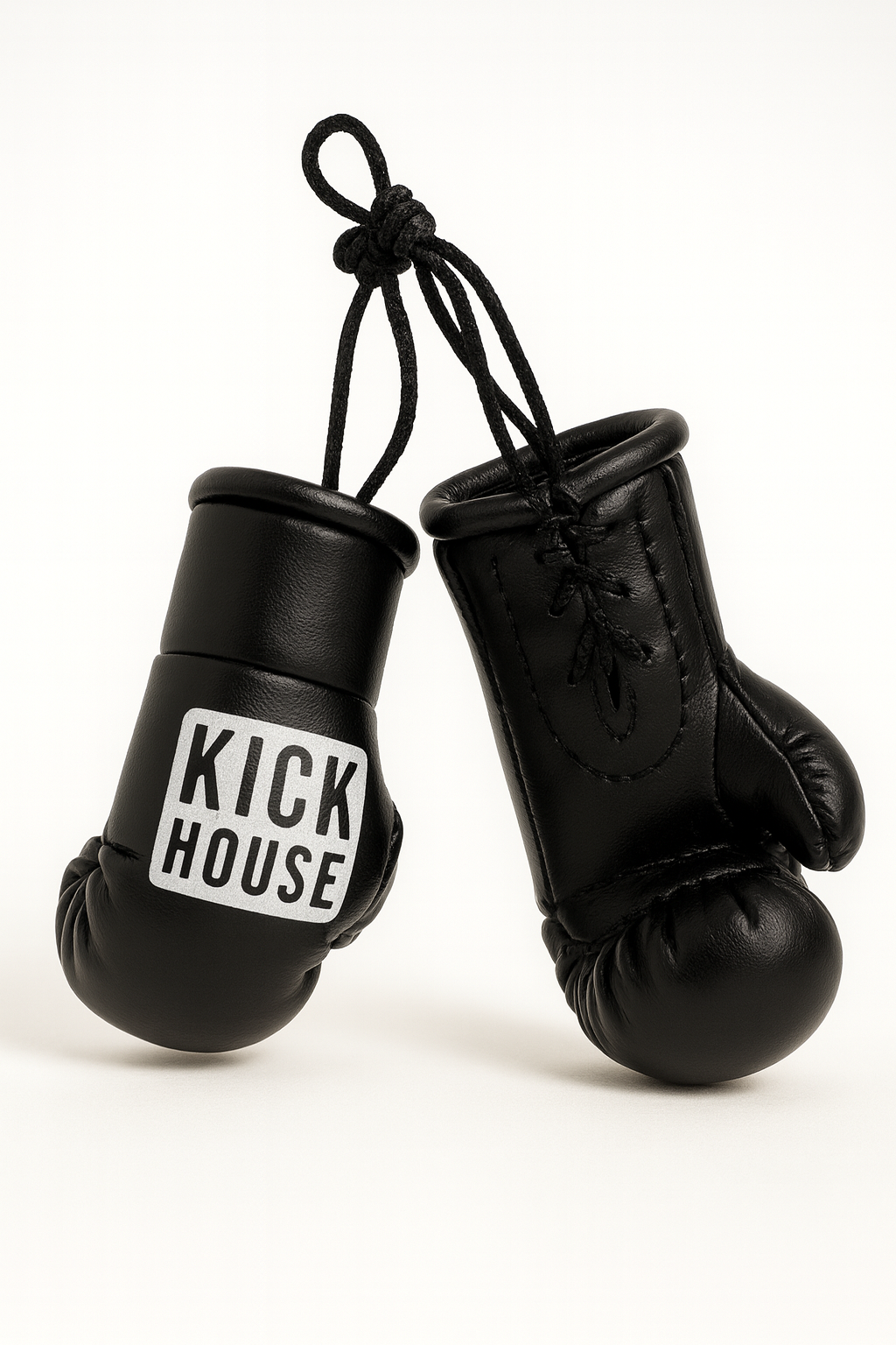 KickHouse Mini Gloves Kickhouse Boxing